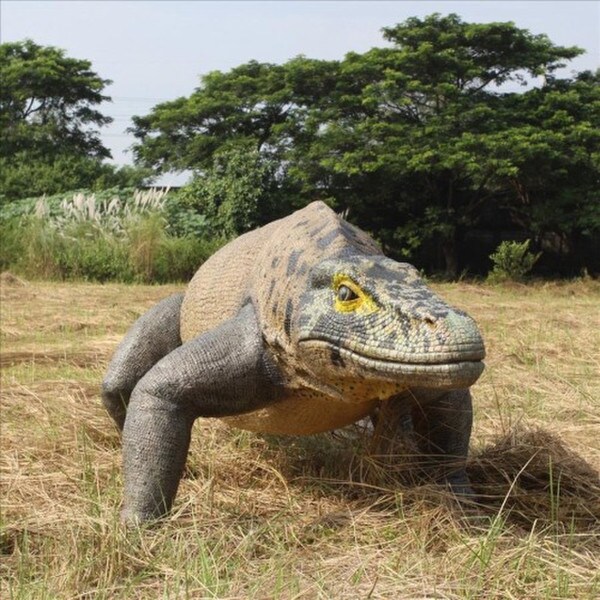 Giant Megalania Monitor Lizard